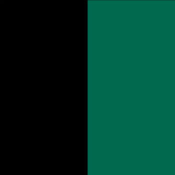 Black-Bottlegreen